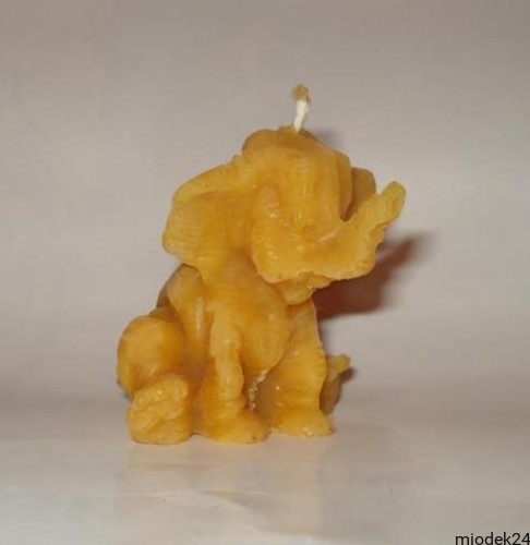 20102762.jpg