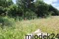 Gdańsk i Szymbark 2012 035.jpg