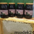IMG_0862.jpg