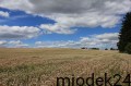 Gdańsk i Szymbark 2012 026.jpg